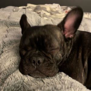 Meet your Posher, Eileen